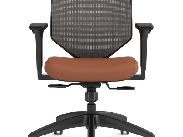 Solve Mesh Back Task Chair