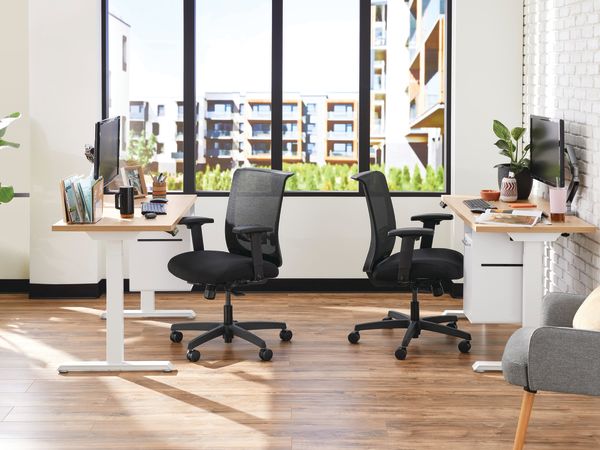 Two white Coordinate Height-Adjustable Bases paired with Coze desk tops and Convergence Task chairs in a small office setting