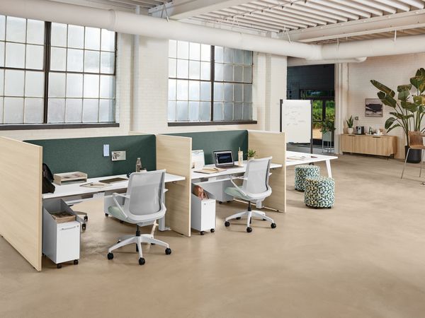 Empower Height-Adjustable Benching