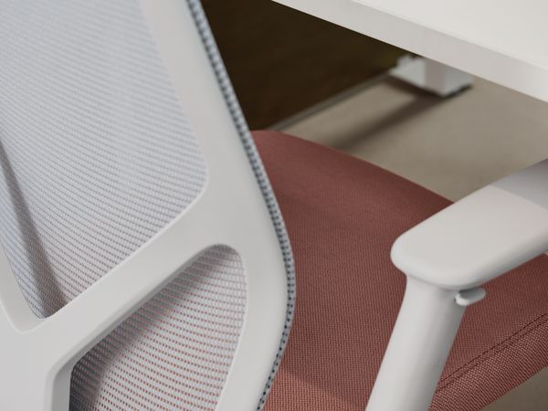 Empower Height-Adjustable Benching and Flexion seating