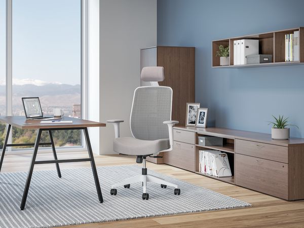 Altern mesh mid-back chair in private office.