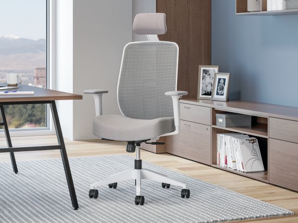 Altern mesh mid-back chair in private office.