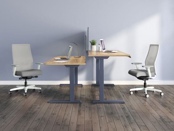 HON Coordinate in Harbor with Ignition 2.0