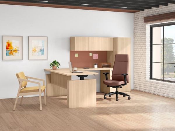 HON-Concinnity-Cofi-500-003