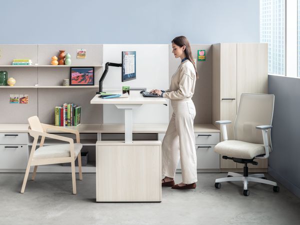 Ignition Spectrum Mesh chairs 