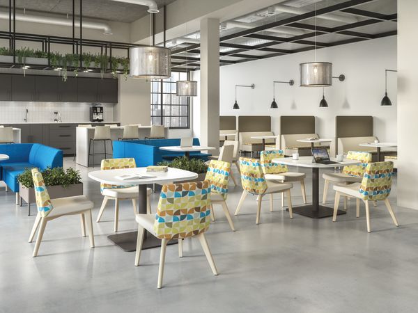 HON café solutions featuring upholstered Flock chairs with bold pattern back, Birk tables, and Astir sofas & booths.