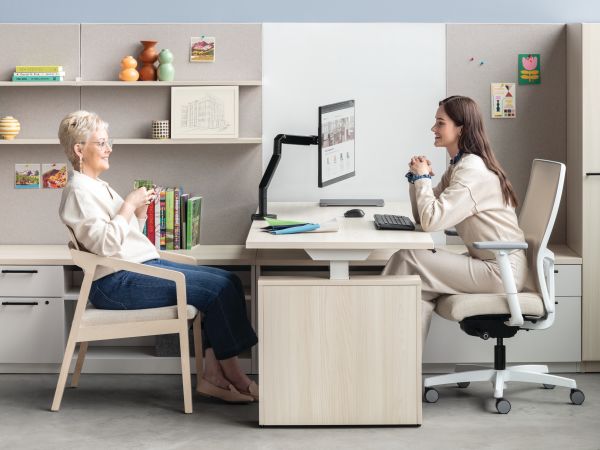 Ignition Spectrum mesh Chairs