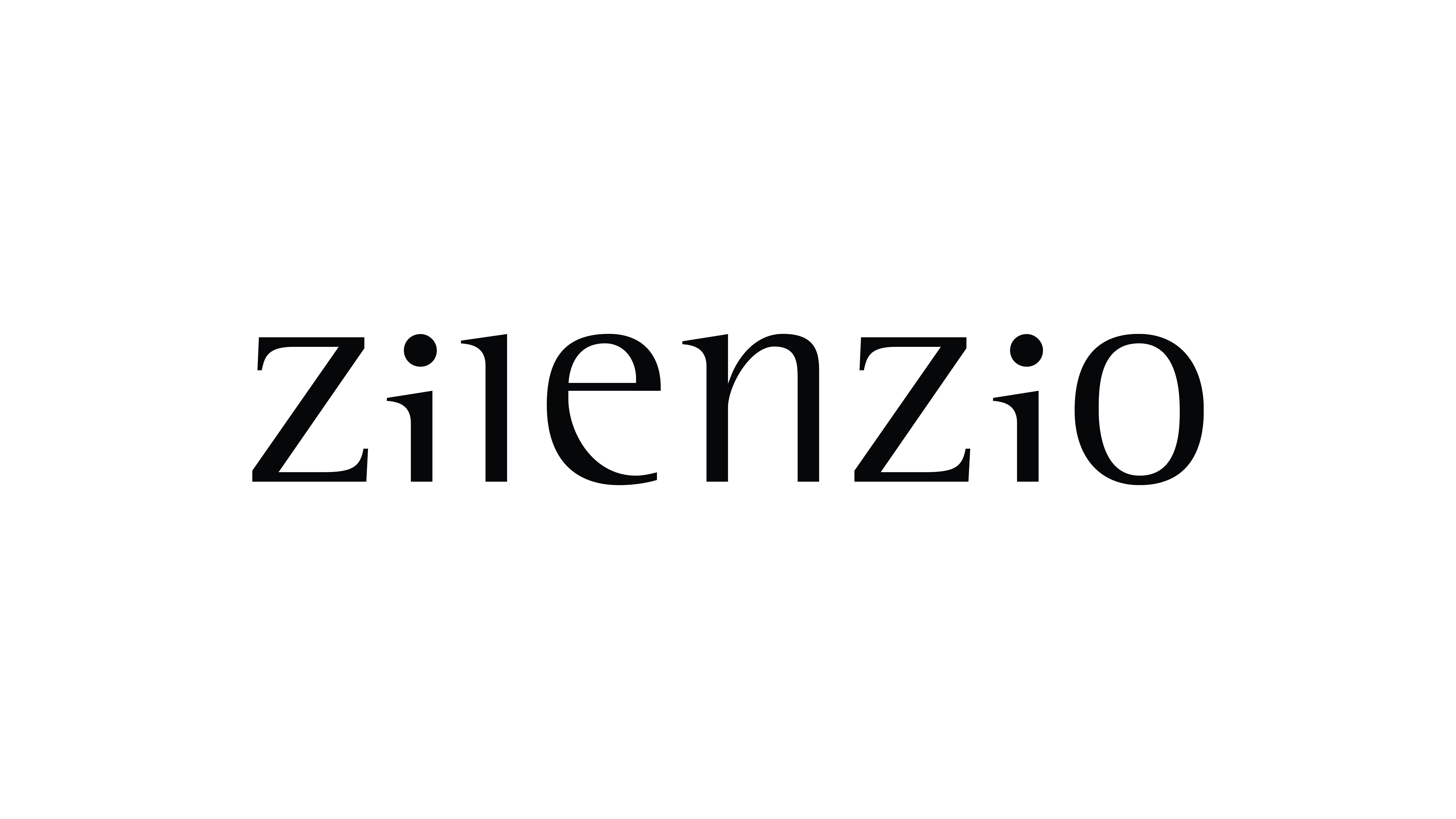 Partner_Brands_Logo_Zilenzio.png