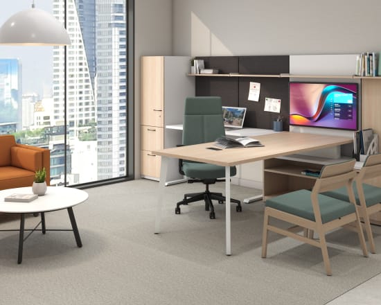 HON Virtual Workspace