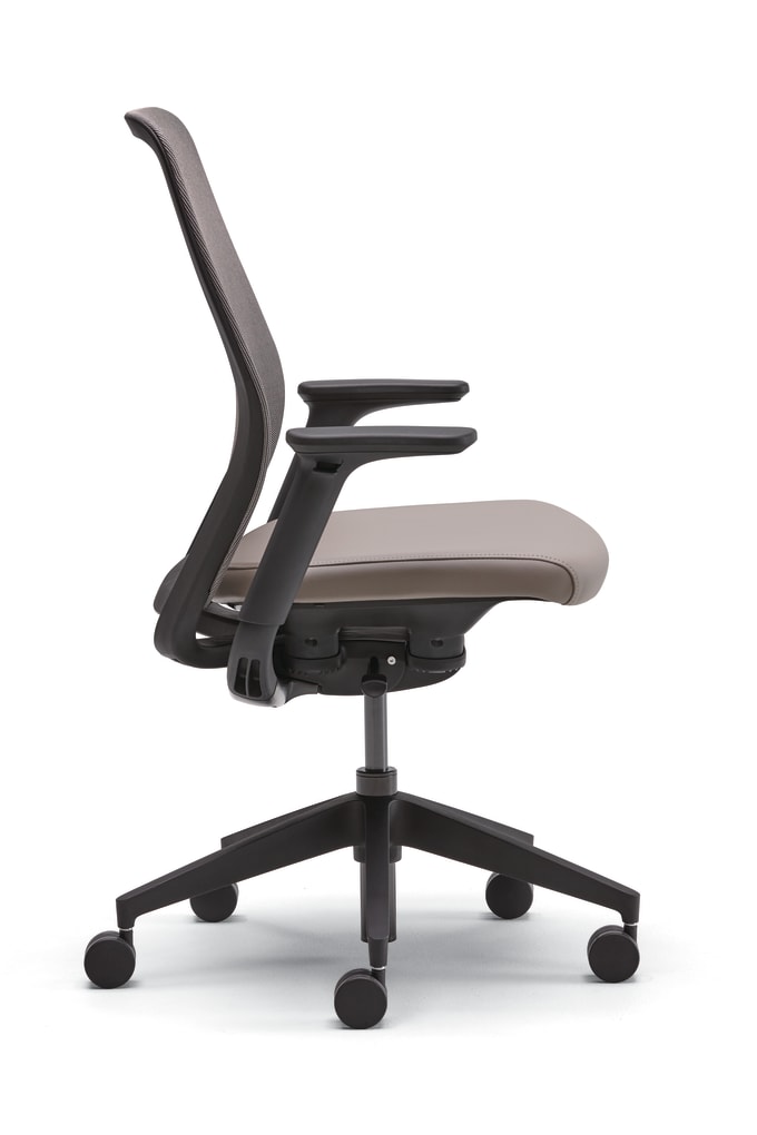 Pli Task Chair