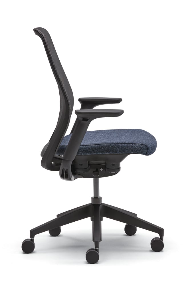 Pli Task Chair