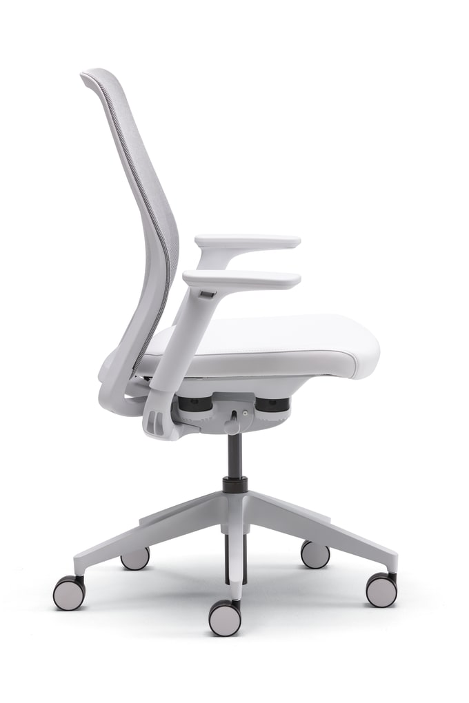 Pli Task Chair