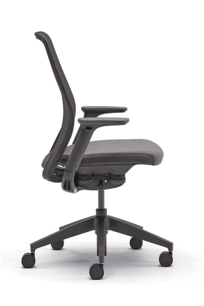 Pli Task Chair