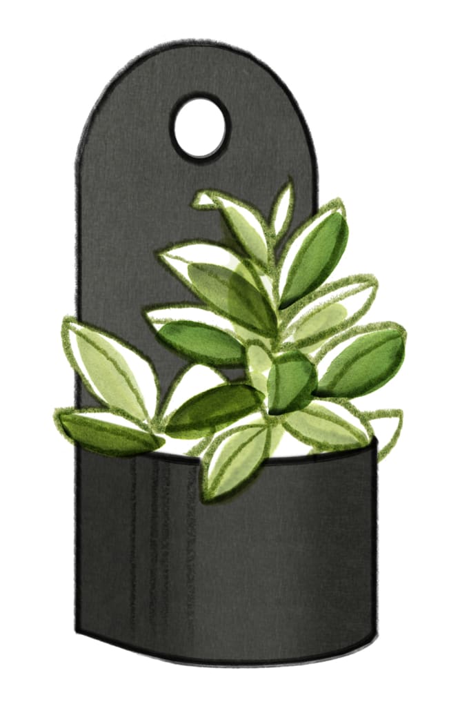 Capsule by Allsteel Shaker Rail Hanging Plant Bin