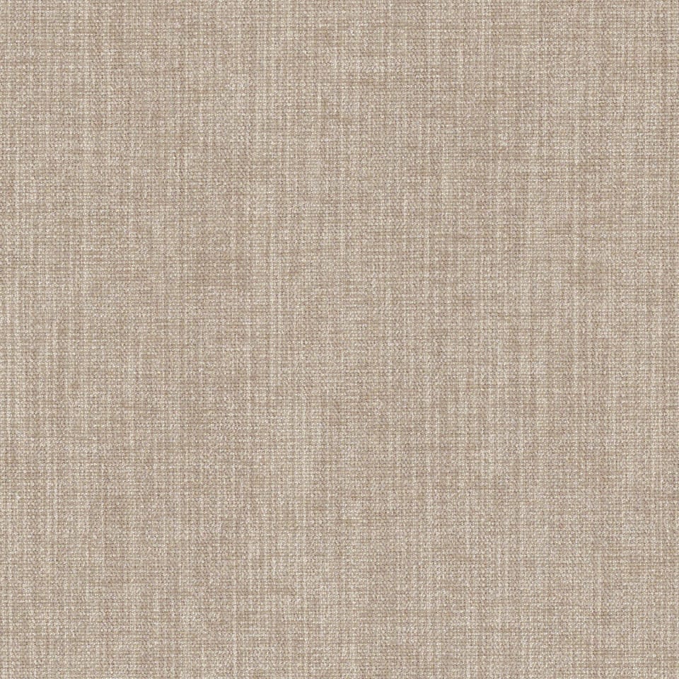 Artisan Fossil