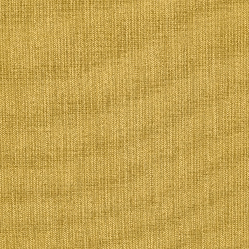 Adagio Starfruit SCFSADG09