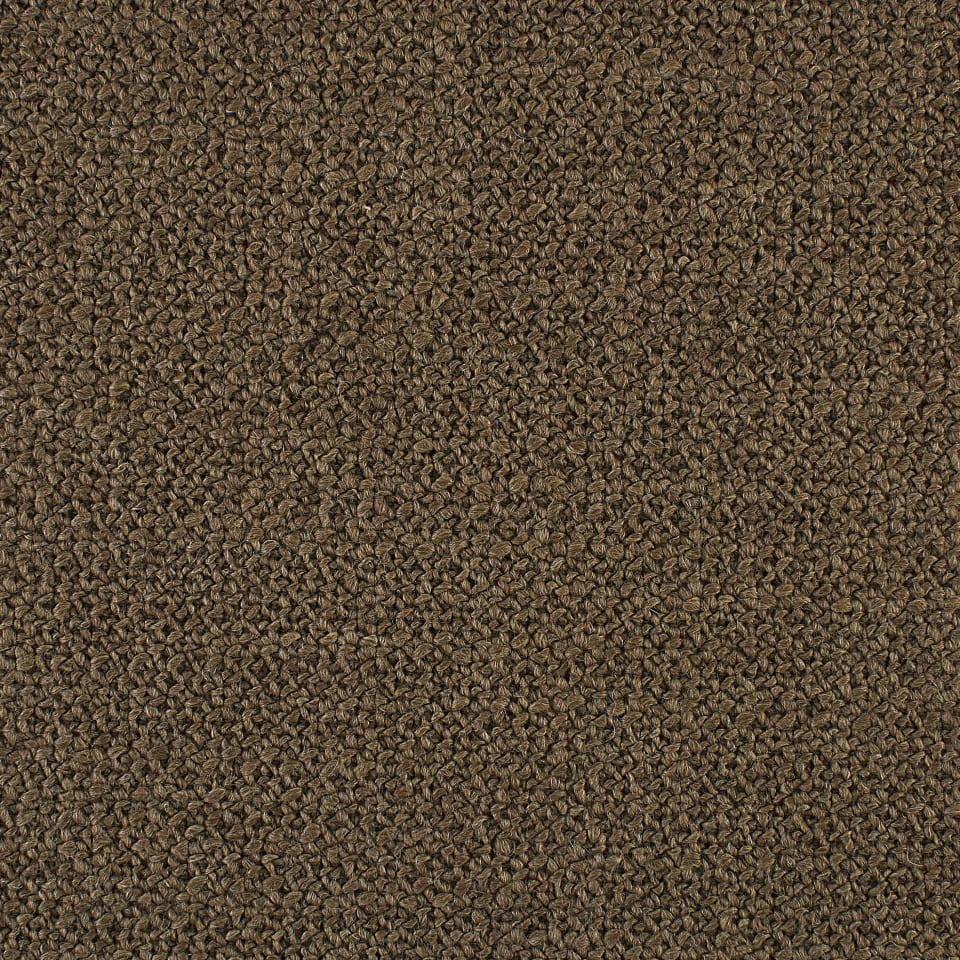 Afghan Truffle SHBFAFG35