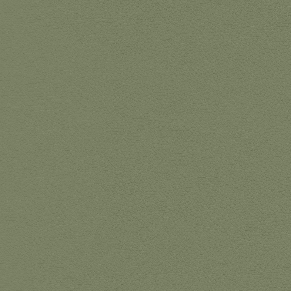 Contourett Sage UR82