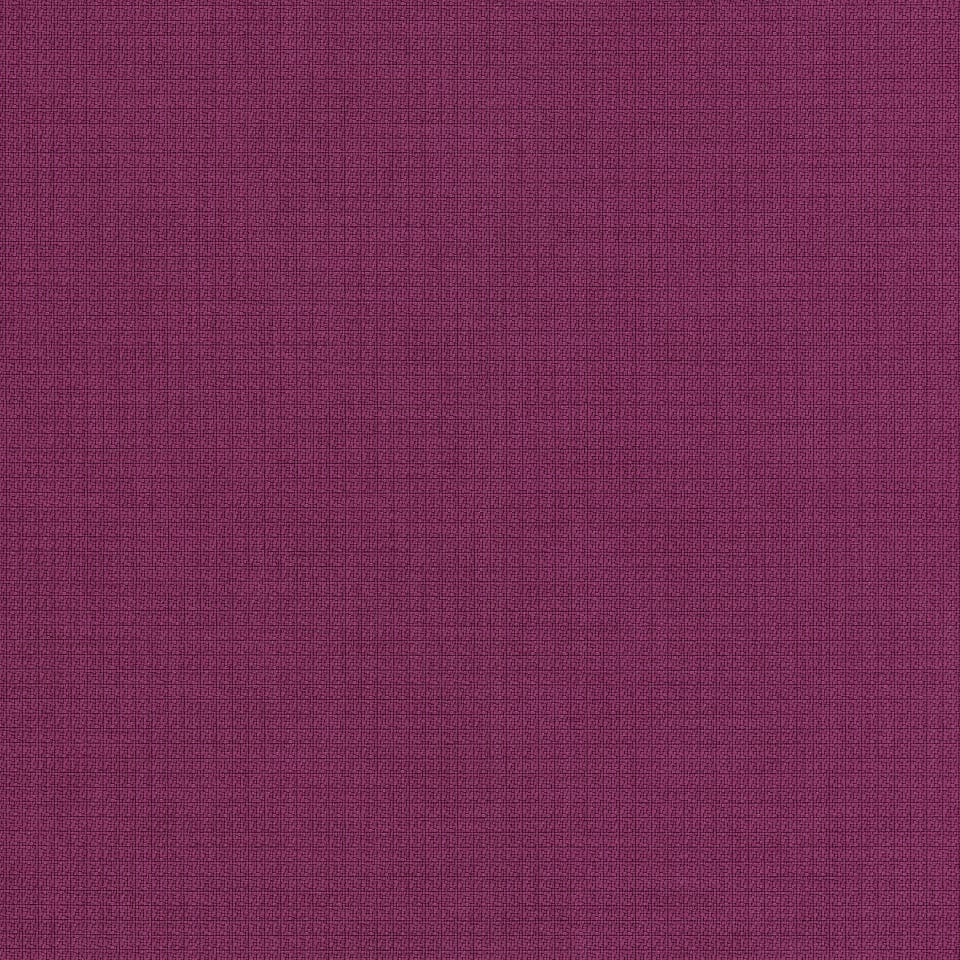 Appoint Framboise APN31