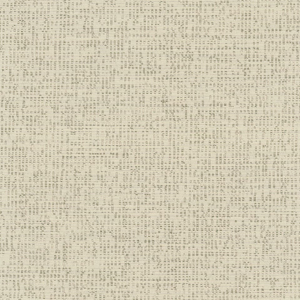 Binary Cream P524321XP
