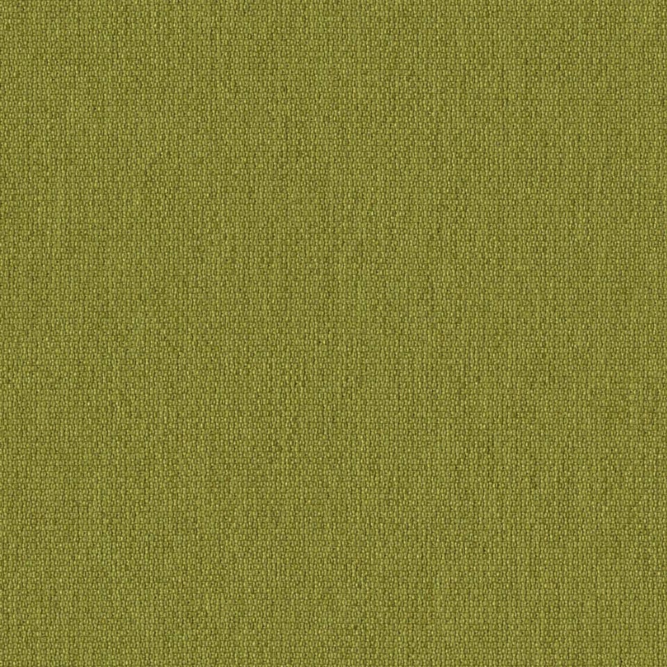 Birdseye Green Sprout P531215XP, P531215XR
