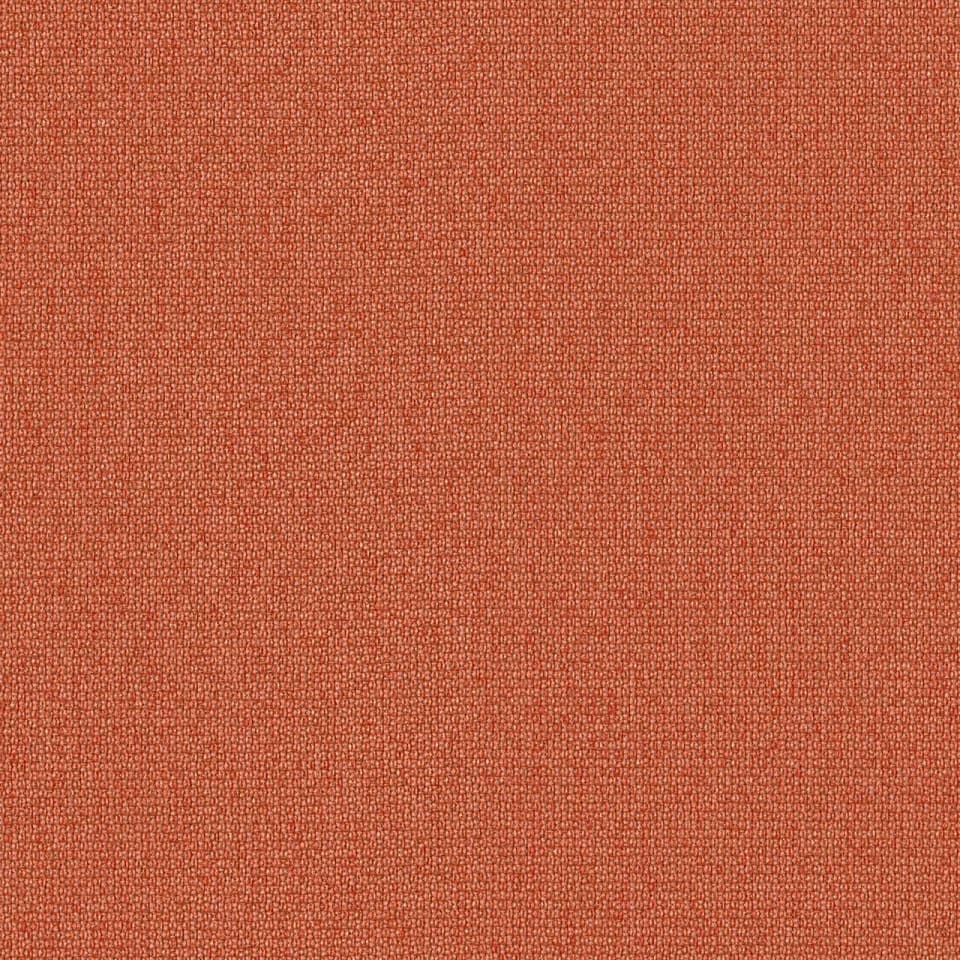 Birdseye Papaya P524231XP, P524231XR