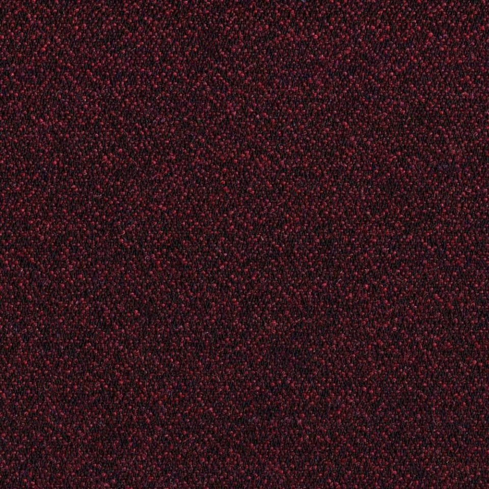 24/7 Flax Annual S597491XP