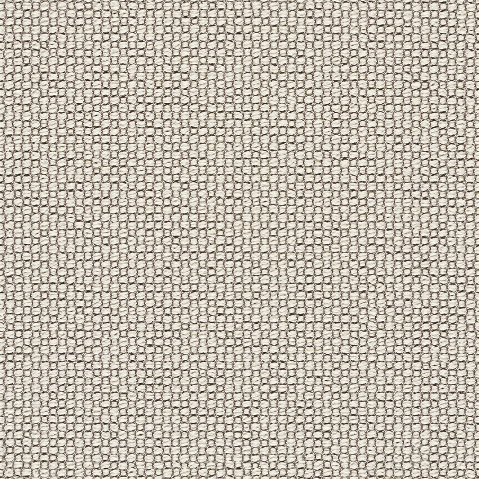 Ample Quark S511849XP