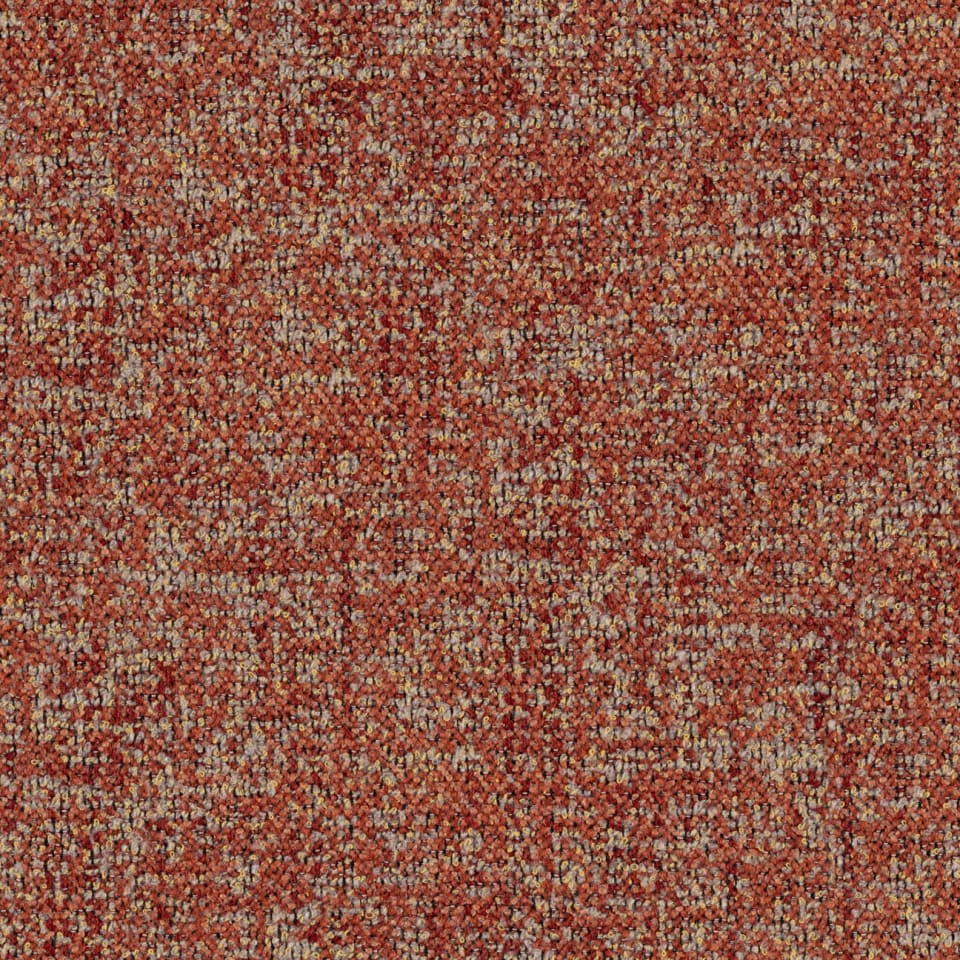 Alpine Coral #5 S609253XP