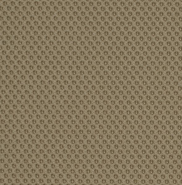 Spectrum-Mesh-Quicksand