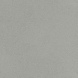 Paint-PlatinumMetallic-T1