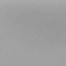 Paint-Silver-PR6
