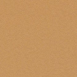 Ace Butterscotch
