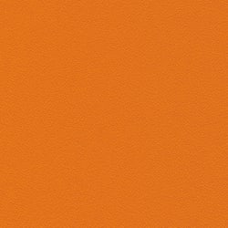 Centurion Apricot