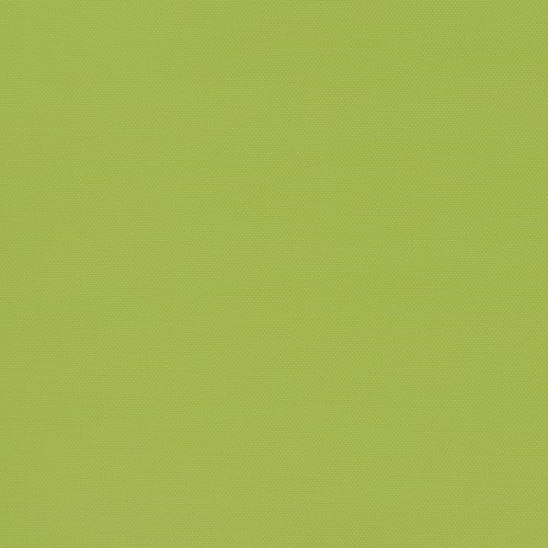 Amplify Parakeet SCFSAMP27