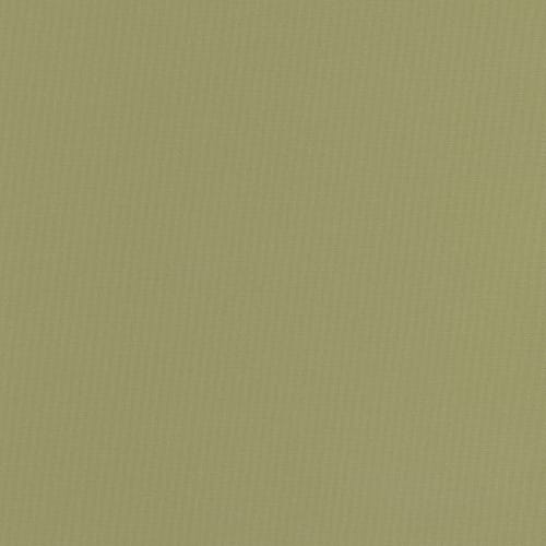 Moxie Lemongrass SX19