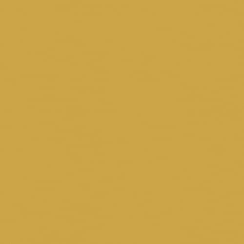 APOLLO SILICONE Saffron SAP-002