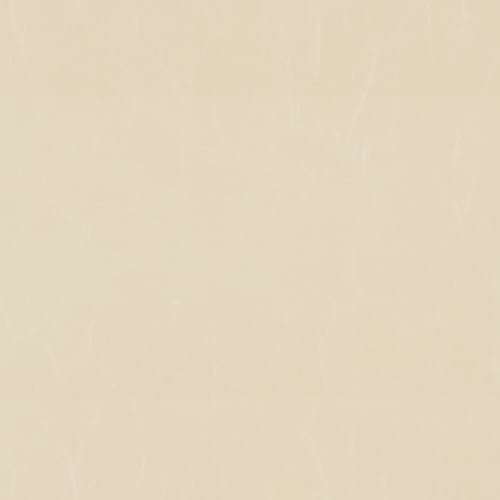 ANTIQUE Ivory ANI-037