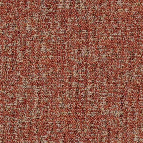 Alpine Coral #5 S609253XP