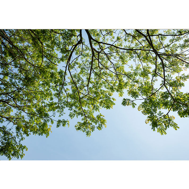 Nav-About-Sustainability