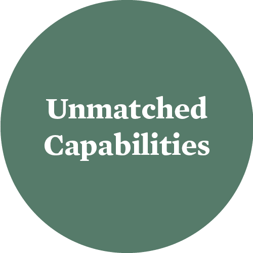 UnmatchedCapabilities-2025.png