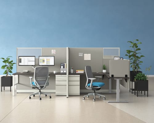 An open plan workstation arrangement with Nucleus task chairs and height-adjustable desks.