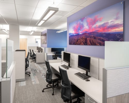 HON-CaseStudy-SanYsidro-001