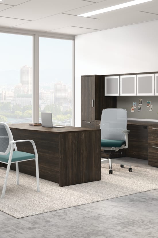 Executive office with dark wood desk, matching storage cabinets, ergonomic chair, guest chairs, and large windows overlooking city skyline.