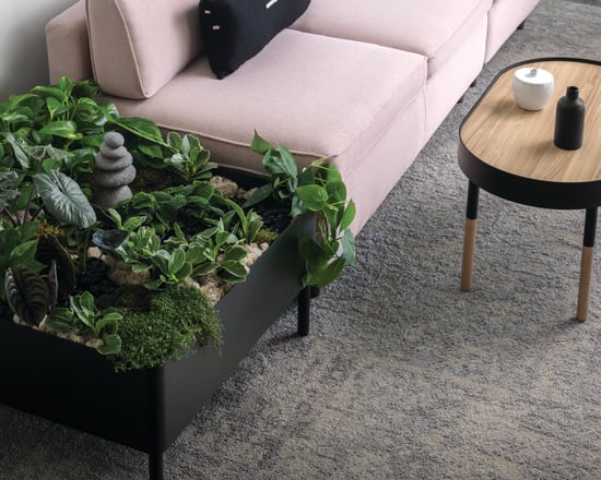 Sculpt Planter