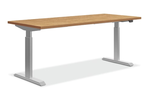HON Coze Worksurface with Coordinate Height Adjustable Base | 54W x 24D | Natural Recon Laminate