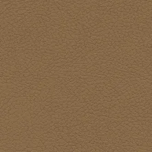 Caramel Swatch Teaser