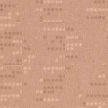 Blush Swatch Teaser