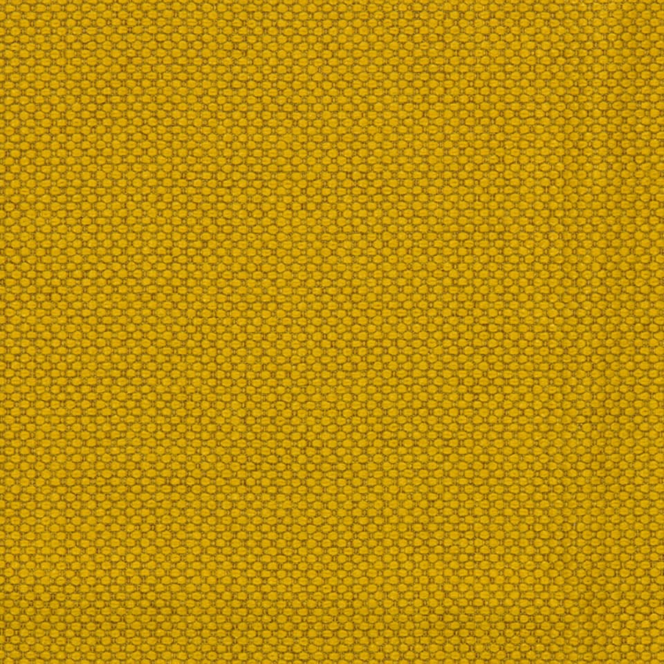 Sunflower Sunflower