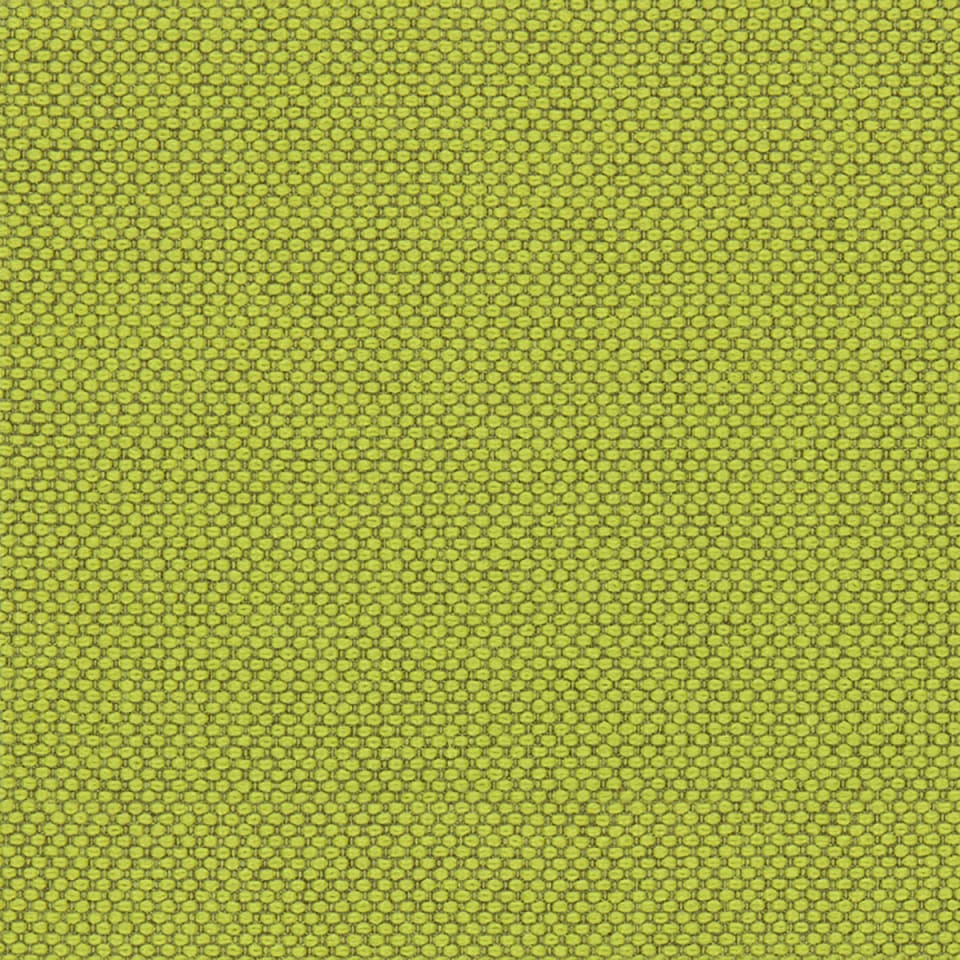 Kiwi Kiwi